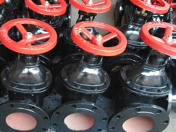 ��������ϵ��