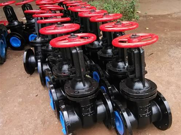 ��������ϵ��